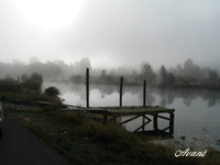 Boat Dock by Paulette Ross