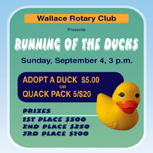 Wallace Rotary Club presents the Running of the Ducks
