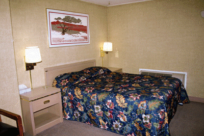 click to enlarge a Stardust Motel single room